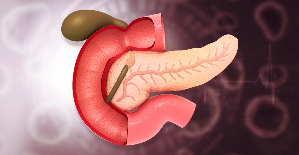 Human pancreas anatomy on scientific background. to illustrate how early enteral nutrition reduces postoperative complications after pancreatoduodenectomy