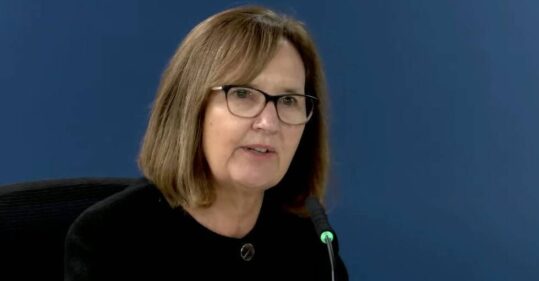 Health visitor concerns were ‘not taken seriously enough’, Covid inquiry told