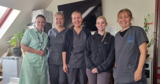The GP Awards 2025 shortlist: Bosvena Health Nursing Team