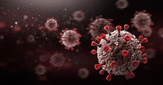 Flu and Covid levels ‘starting to slowly increase’
