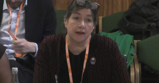 GPNs are the ‘backbone’ of reproductive healthcare, MPs told