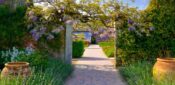 General practice ANP among recipients of funding for nurse-led garden projects