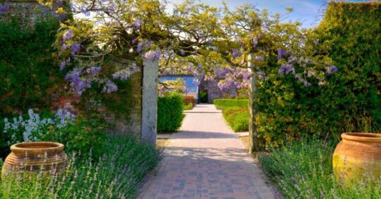 General practice ANP among recipients of funding for nurse-led garden projects