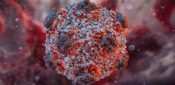 Hantavirus: Health teams to support cruise ship passengers to isolate at home