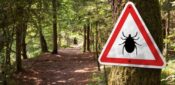 Lyme disease: what nurses need to know