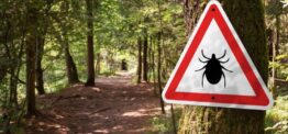 Lyme disease: what nurses need to know