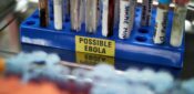 PPE shortages leave nurses ‘fearful for safety’ amid Ebola outbreak, warns ICN
