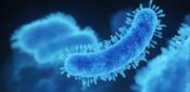 Nearly one person a week diagnosed with TB only after death, study finds