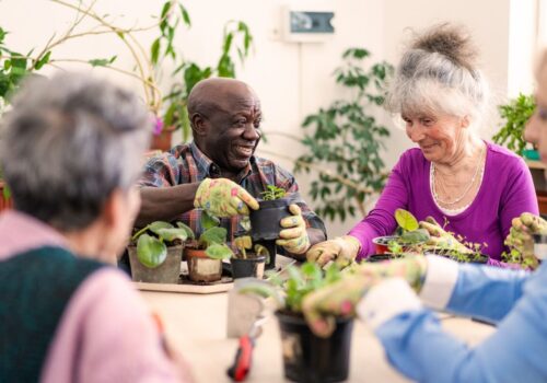 People taking part in a gardening activity via social prescribing