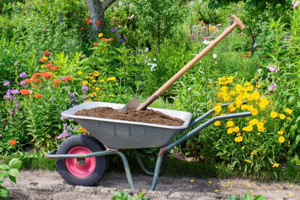 wild flowers in a community garden and a wheelbarrow with a spade sticking out top.