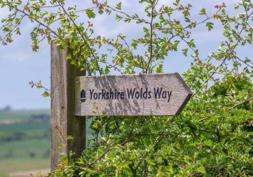 Wooden pathway sign marked Yorkshire Wolds