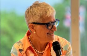 Baroness Gerada: ‘Why general practice needs its own investment standard’