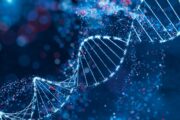 GPs to pilot genomic testing to predict likelihood of breast and prostate cancer
