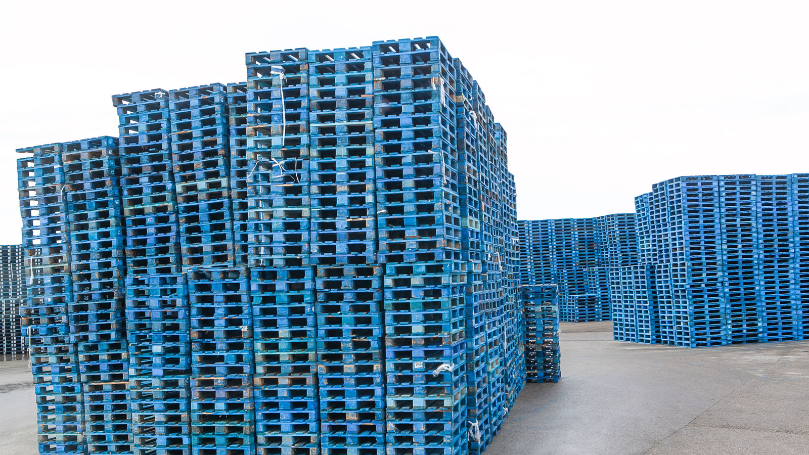 Chep CPM International Field Marketing Outsourced Sales