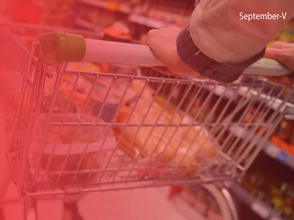 “Indian Retail at a Glance”