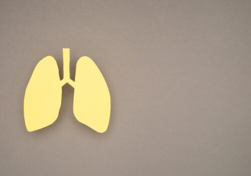cartoon images on lung