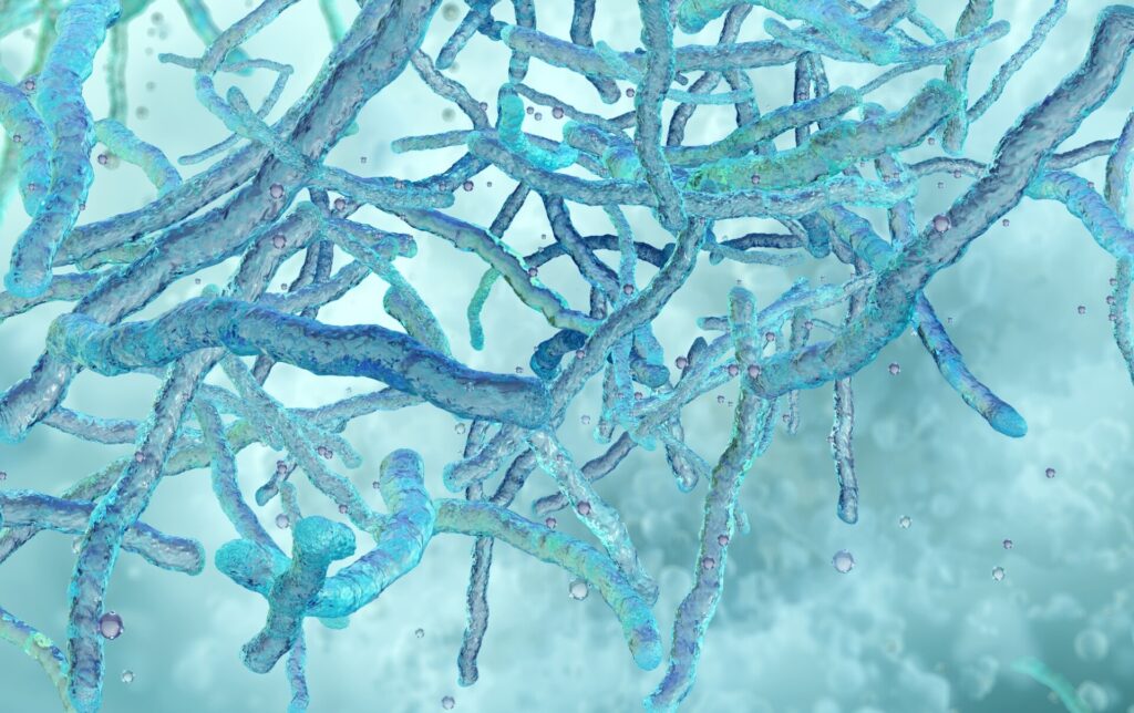 TB bacteria concept image