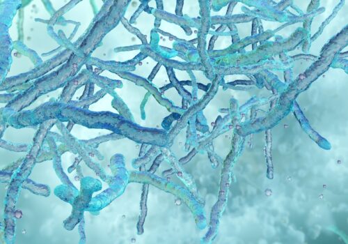 TB bacteria concept image