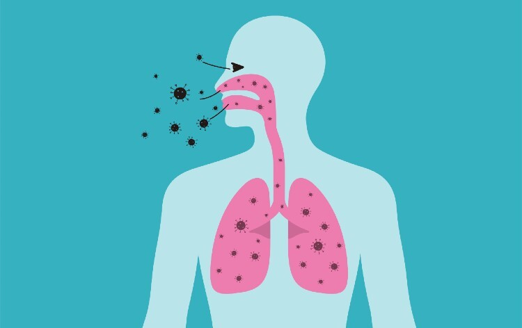 Interview: A virologist on the early flu season and why vaccination matters