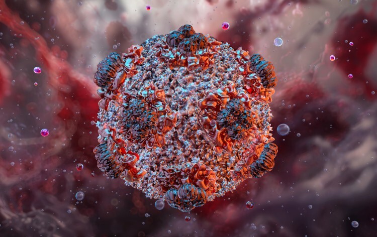 Hantavirus 3D viral structure, RNA virus transmitted to humans through rodent excreta