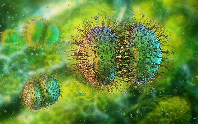 Meningitis