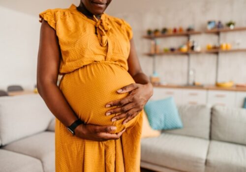 Black Woman Enjoying Pregnancy At Home - stock photo