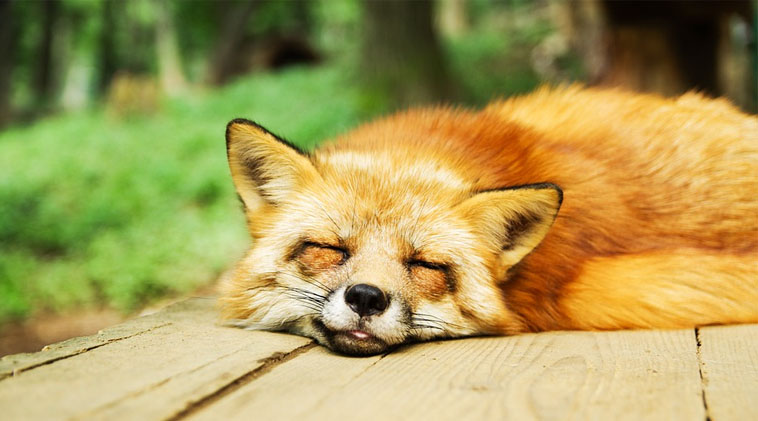 stress relief, a guided meditation.