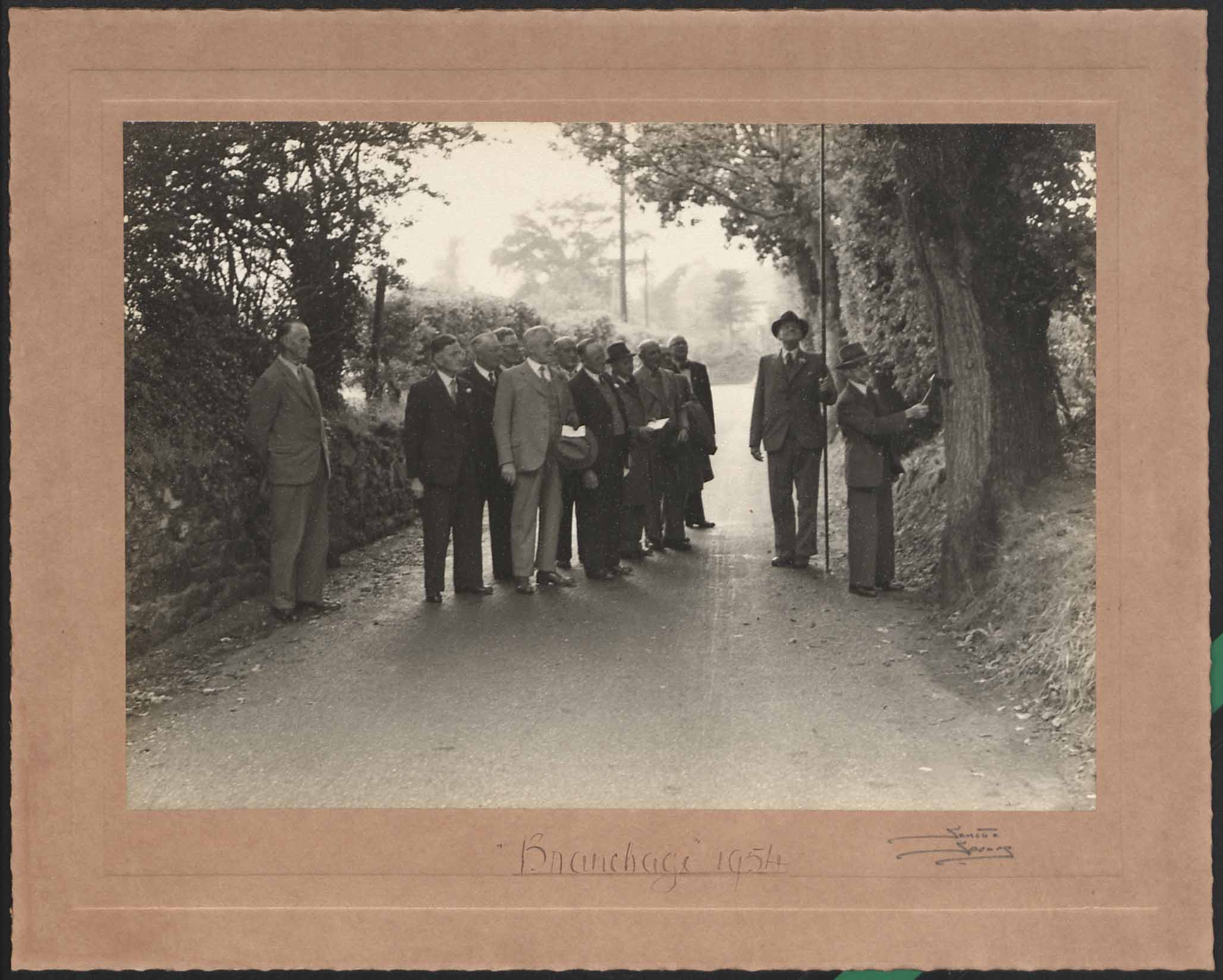 Honorary police measuring an overhanging tree on a branchage, Courtesy of Jersey Heritage