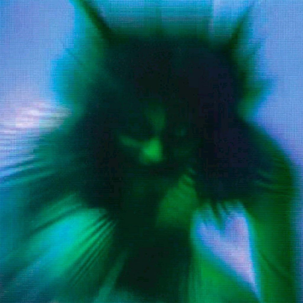 Yves Tumor - Safe in the Hands of Love