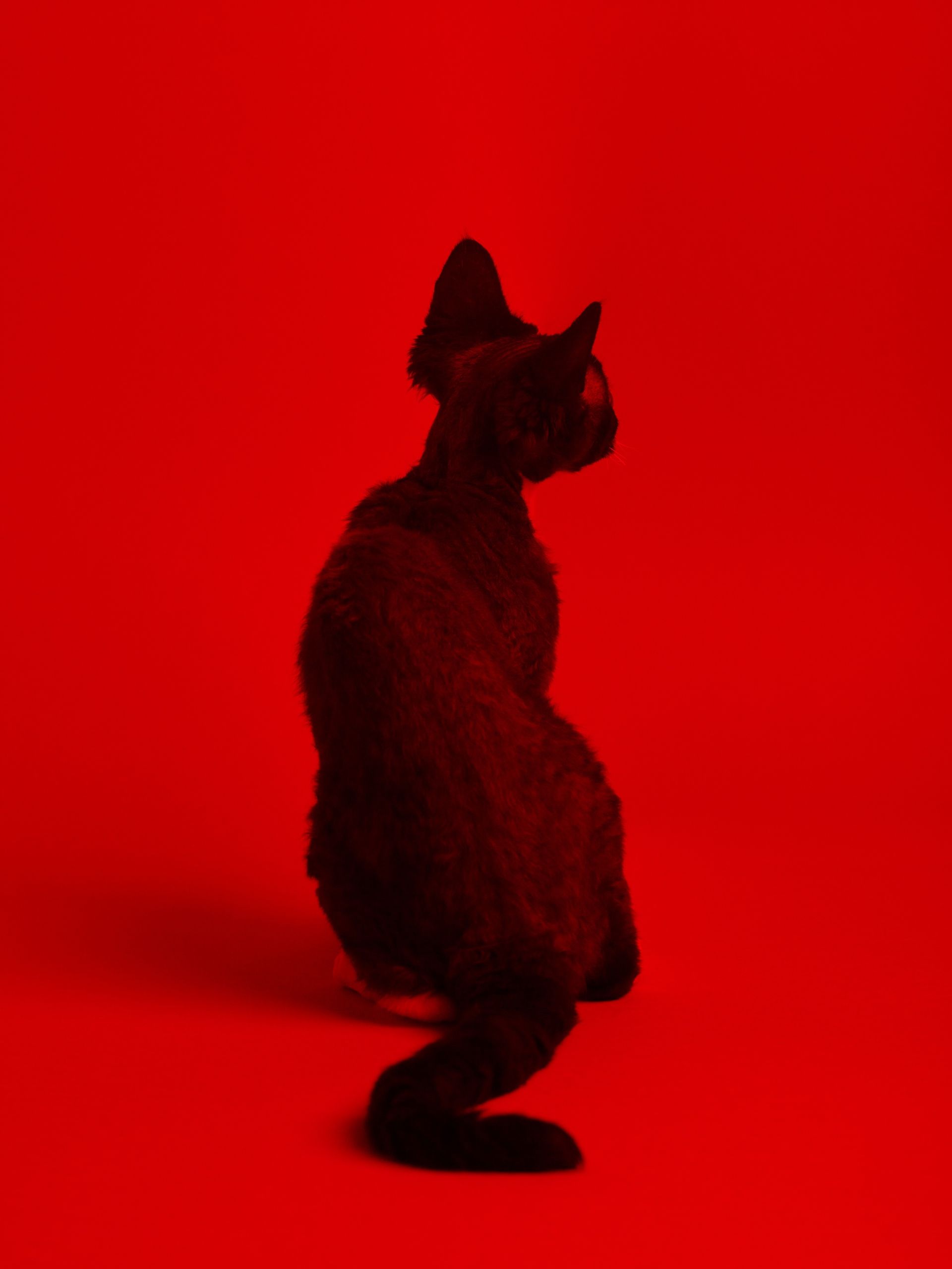 „AEON”, Marcel Rickli