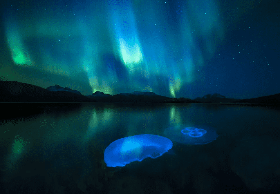 Fot. Audun Rikardsen