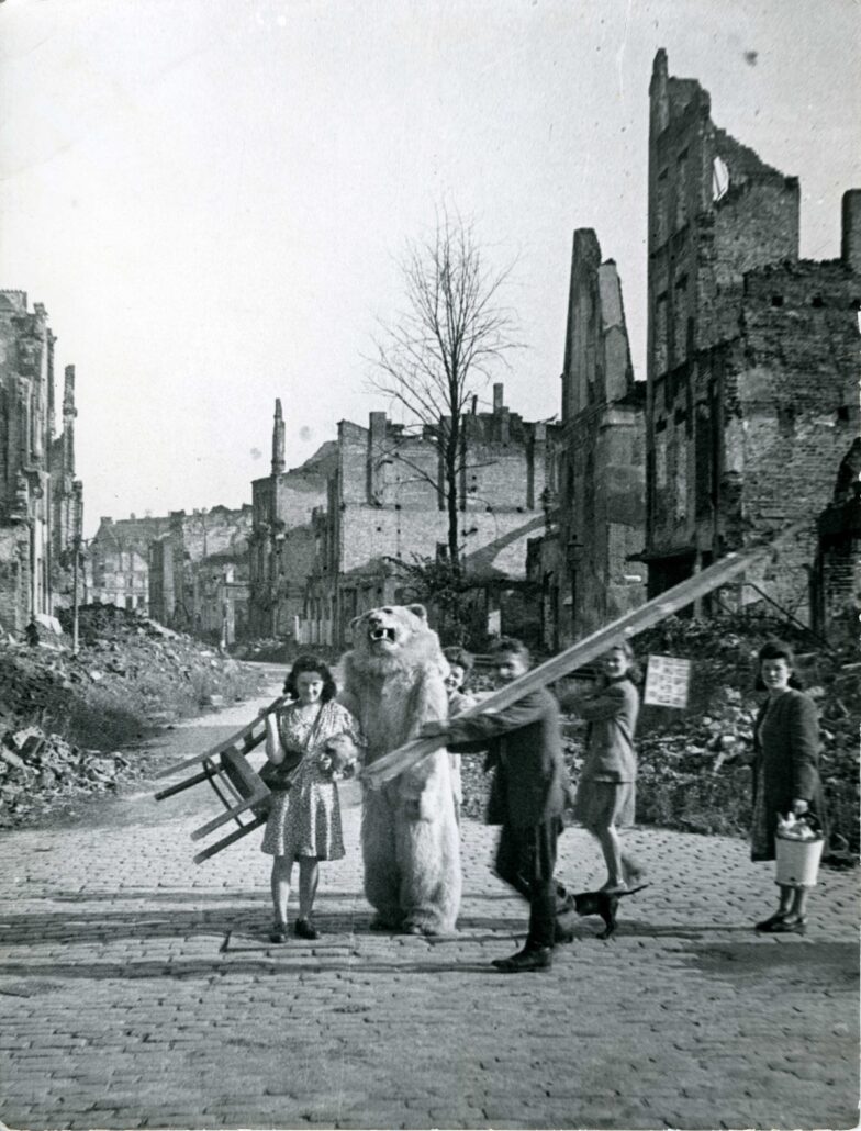„Sala Kolekcji. FotoFauna”, NOMUS Nowe Muzeum Sztuki, Gdańsk, do 26.01