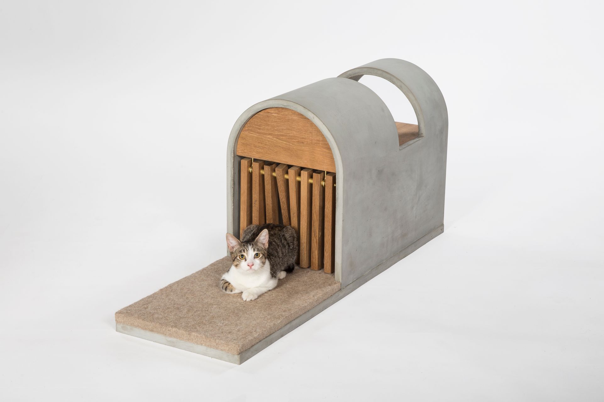 THE CAT POD