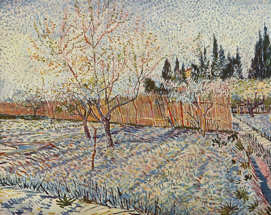 Vincent van Gogh, Verger avec cyprès, 1888