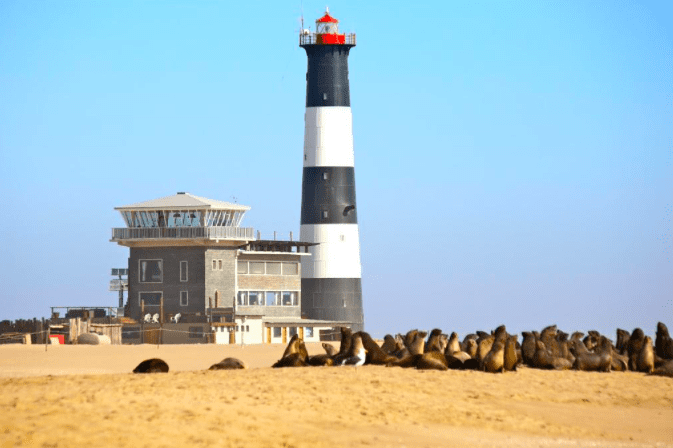 Pelican Point Lodge (Wallis Bay, Namibia)