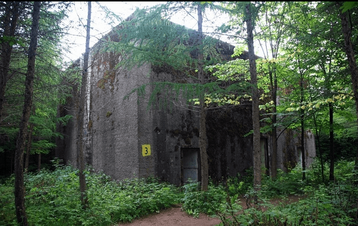 Mamerki - tajemnicze bunkry Wermachtu