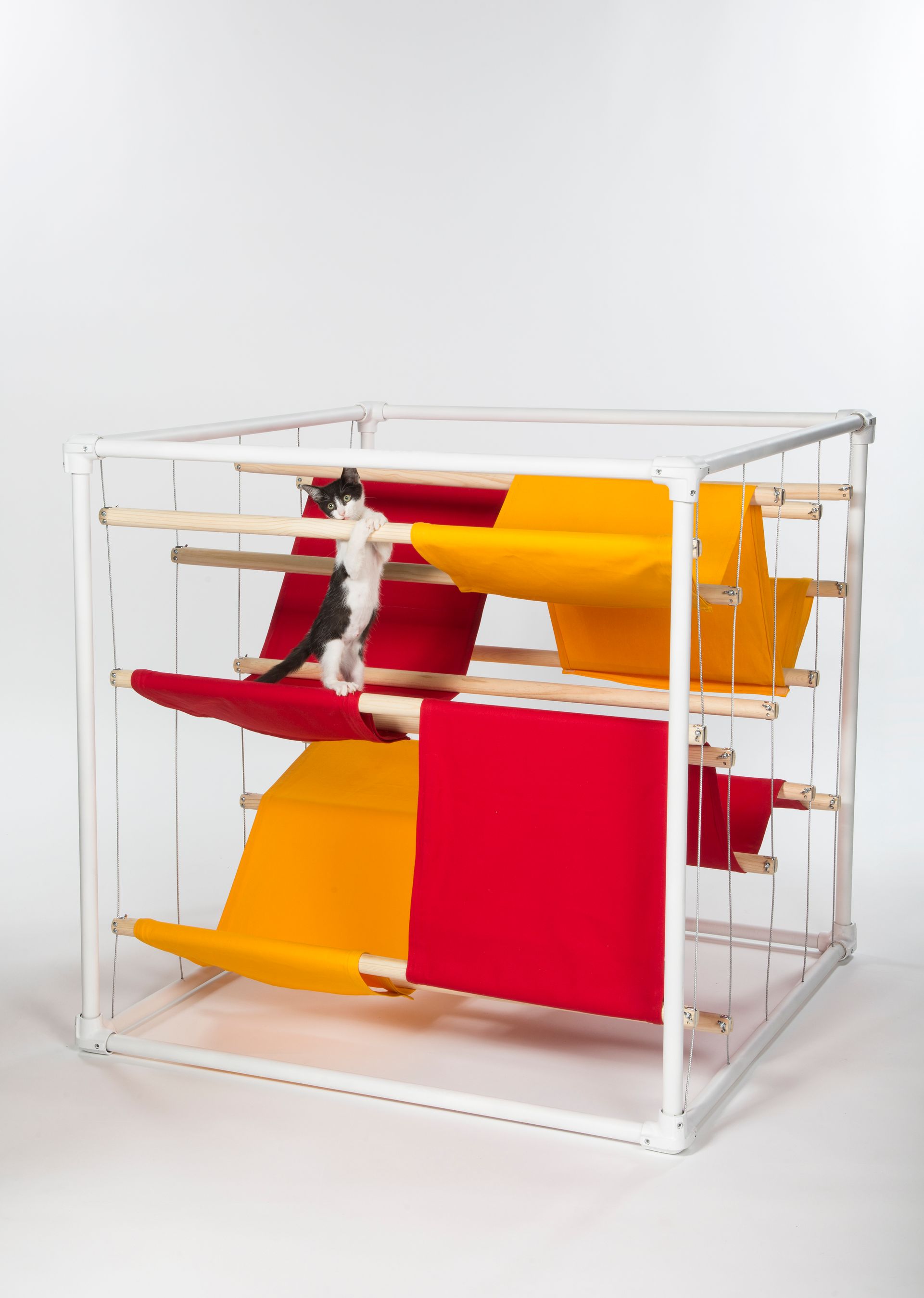 Clawed Purrent; Function of the Oblique 9