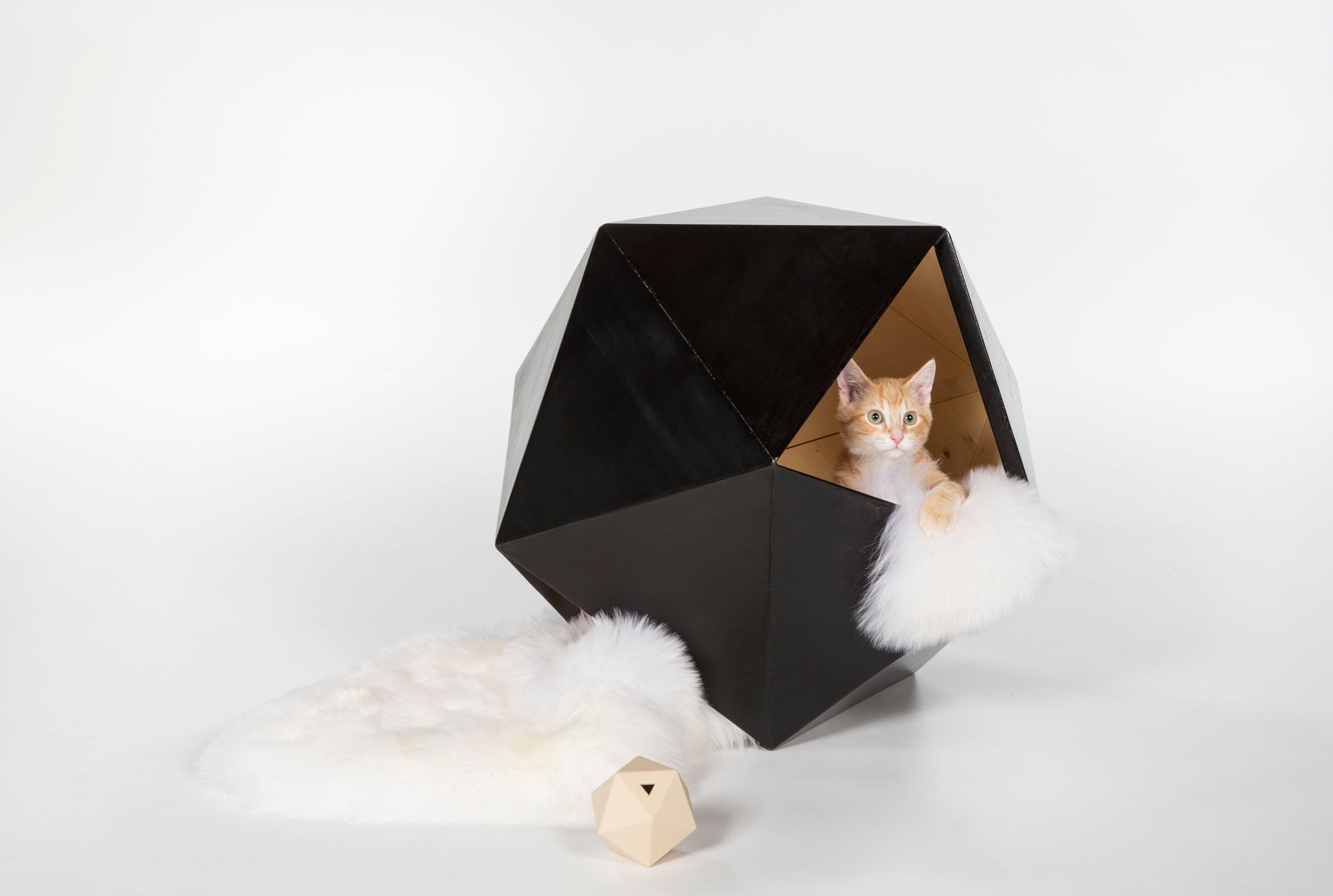 The Dungeon Master’s Lair