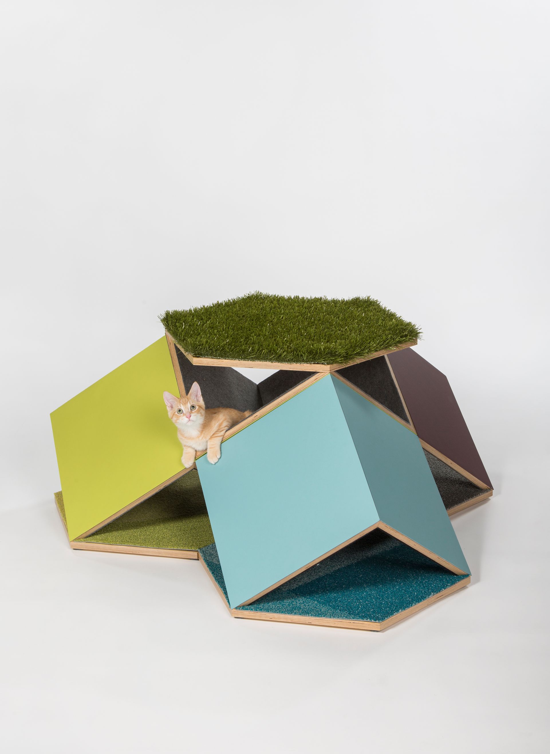 CatCube: Meowdular Dwelling Unit