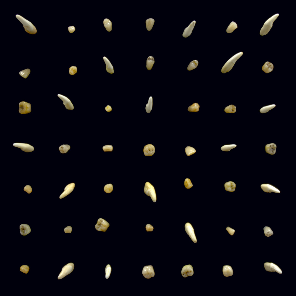 41. Clipping - Visions Of Bodies Burned