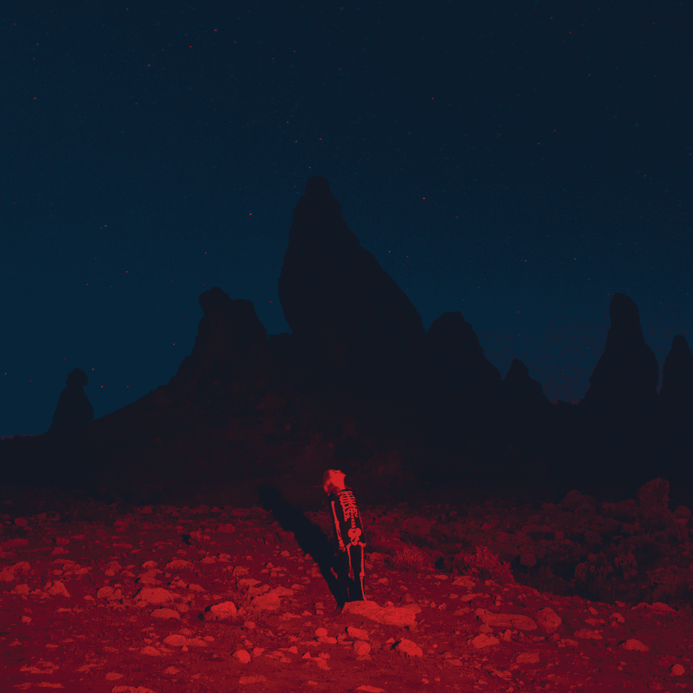 8. Phoebe Bridgers - Punisher