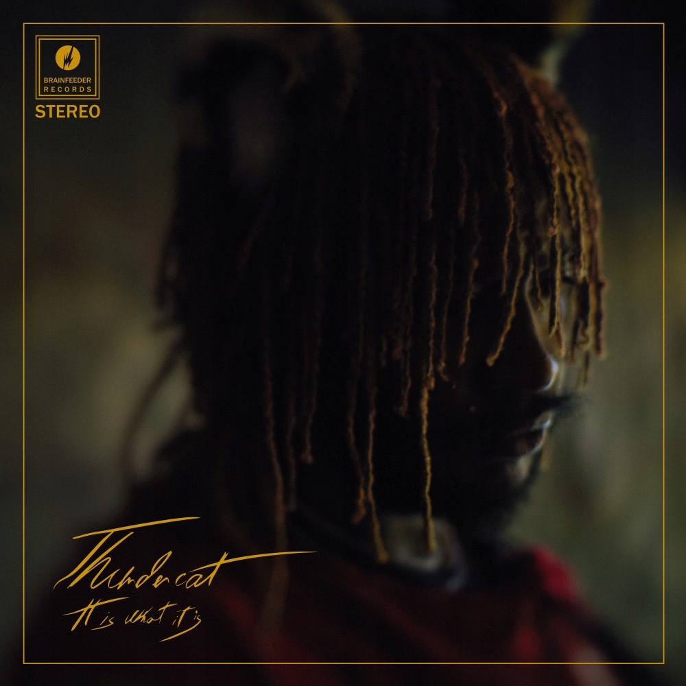 37. Thundercat - This Is What It Is