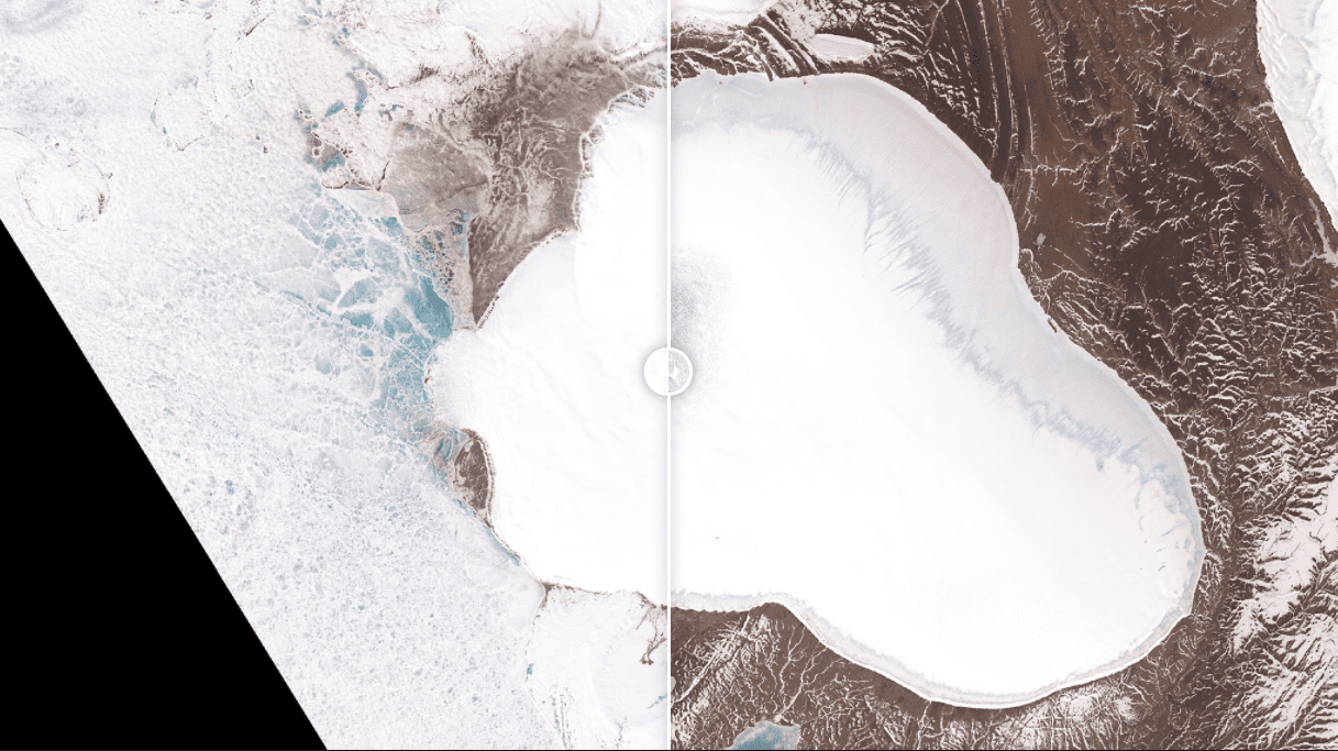 Czapa lodowa Vavilova