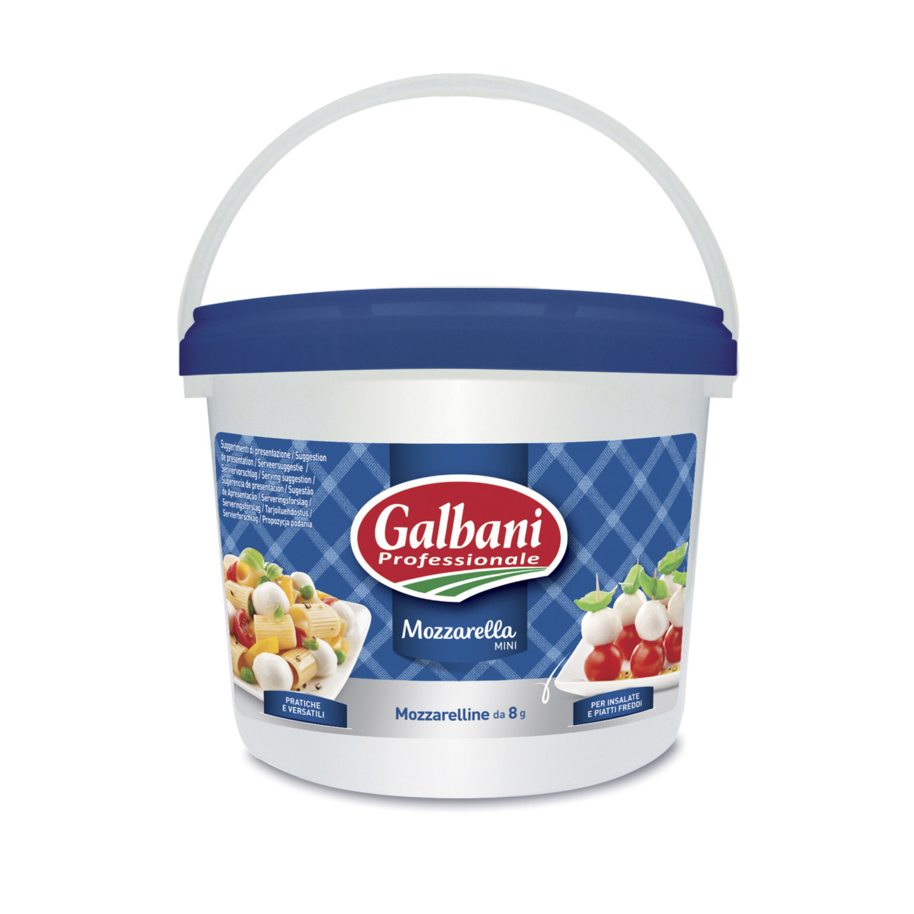 Galbani Professionale Prosciutto Crudo Mini 3.1kg Lactalis