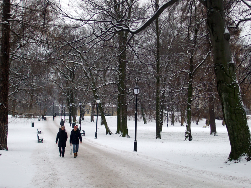 Snow in Slottsparken, Oslo