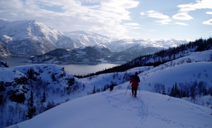 Cross-country skiing