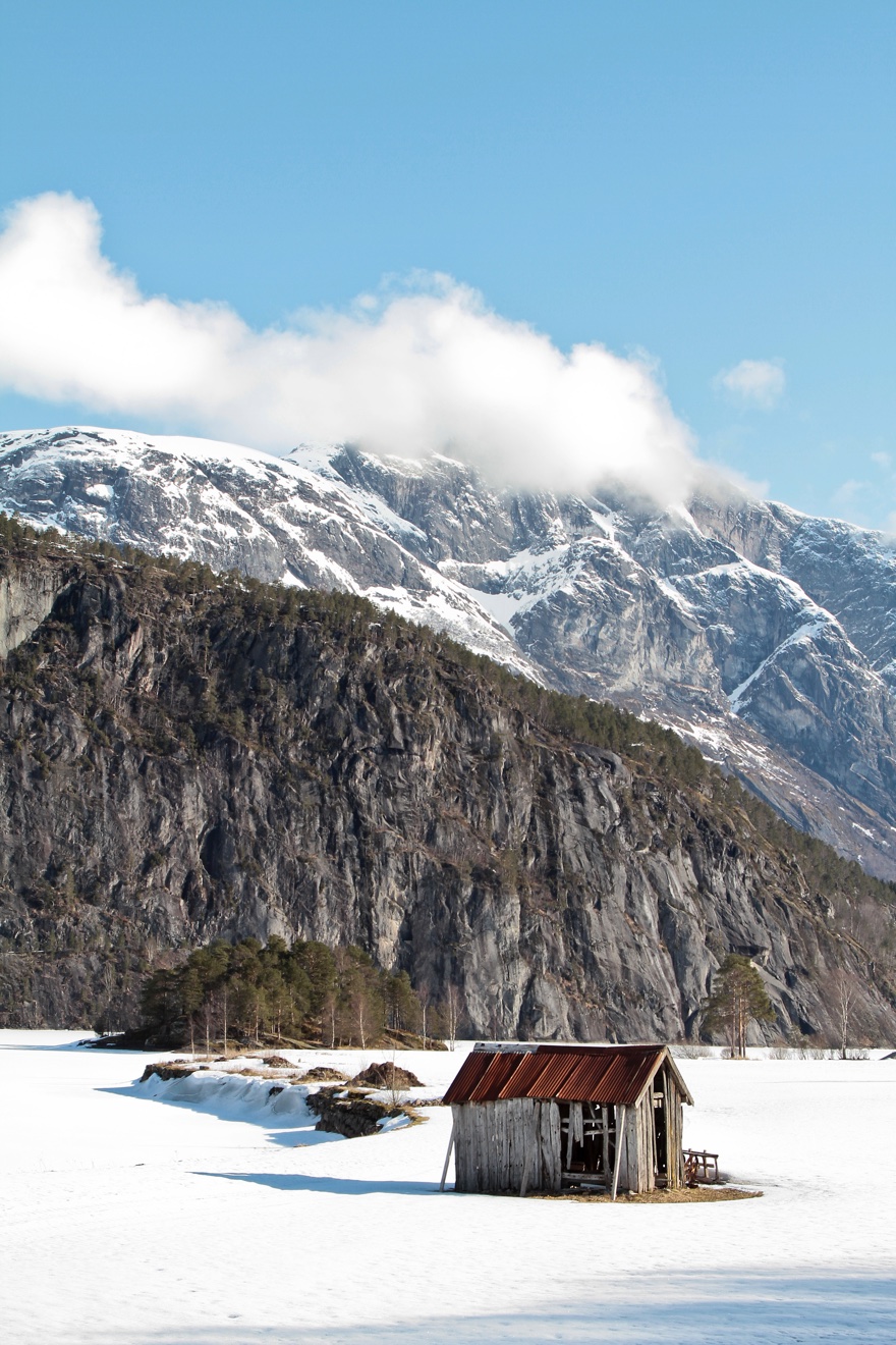Stryn