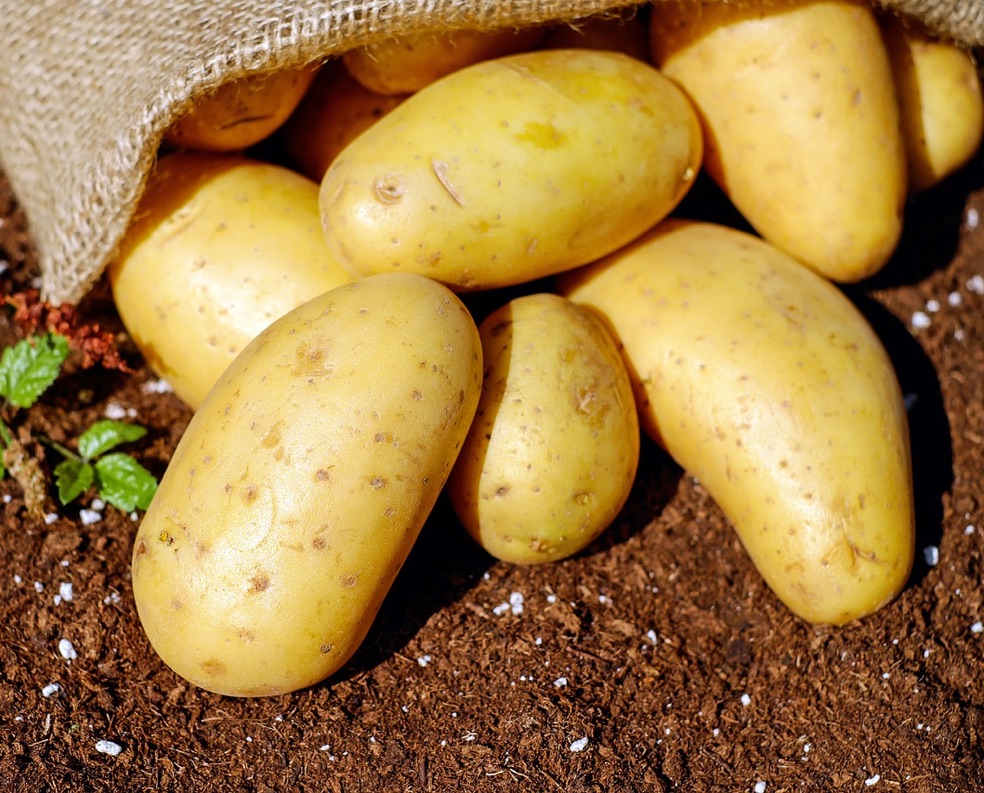 Even potatoes were rationed in the war