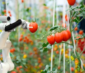 Are AI marketing and customer service tools the future? AI Blog Image 280x238