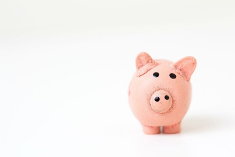 Why youi need a website budget